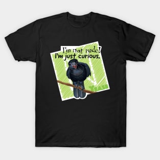 Curious Crow T-Shirt